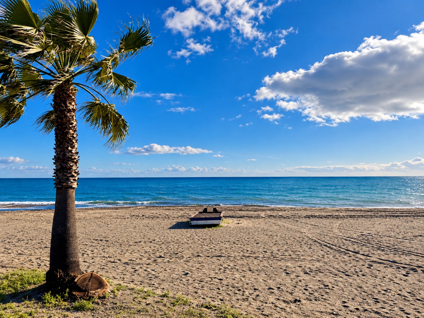 Palm tree framing Estepona's sandy beach and the Mediterranean Sea