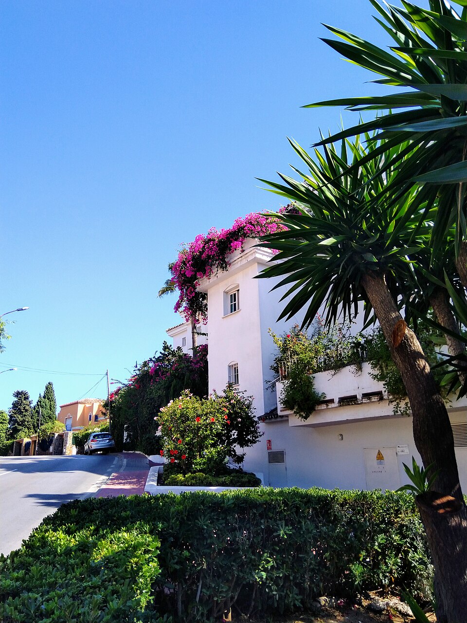 Residential street in Nueva Andalucía